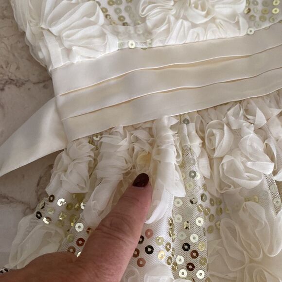 Cinderella Little Girl’s Party Dress - Picture 13 of 13